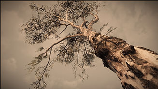 EterG62502 - Unreal Editor 4_22_2022 11_30_08 AM_edited.jpg