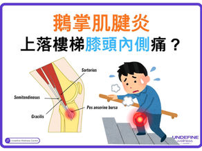上落樓梯膝頭內側痛？