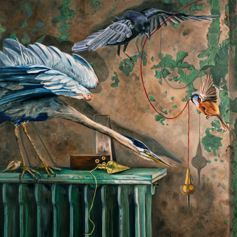 Three birds in a darkened room use a plumb bob.