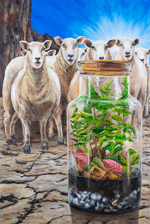 A flock of sheep in the desert look at a small container of plants.
