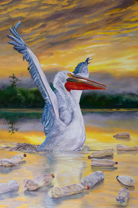 A pelican stretches in the morning sunlight in a river that is polluted with empty plastic bottles.