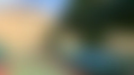 Volejbal a Nohejbal v Masné? proč ne! - poslední volné termíny