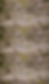 background for about.png