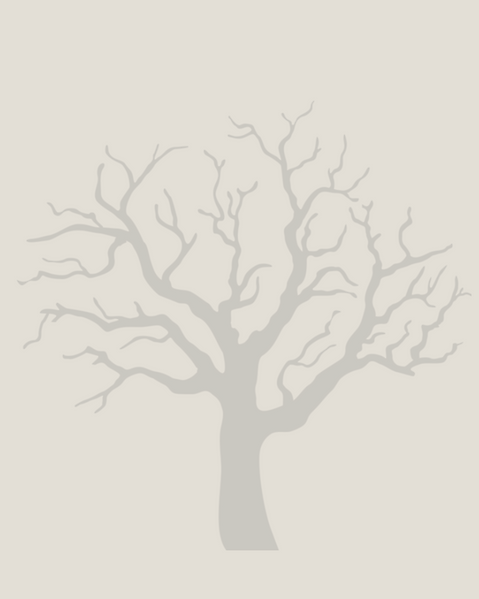 SSA Logo Trans Cream back.png