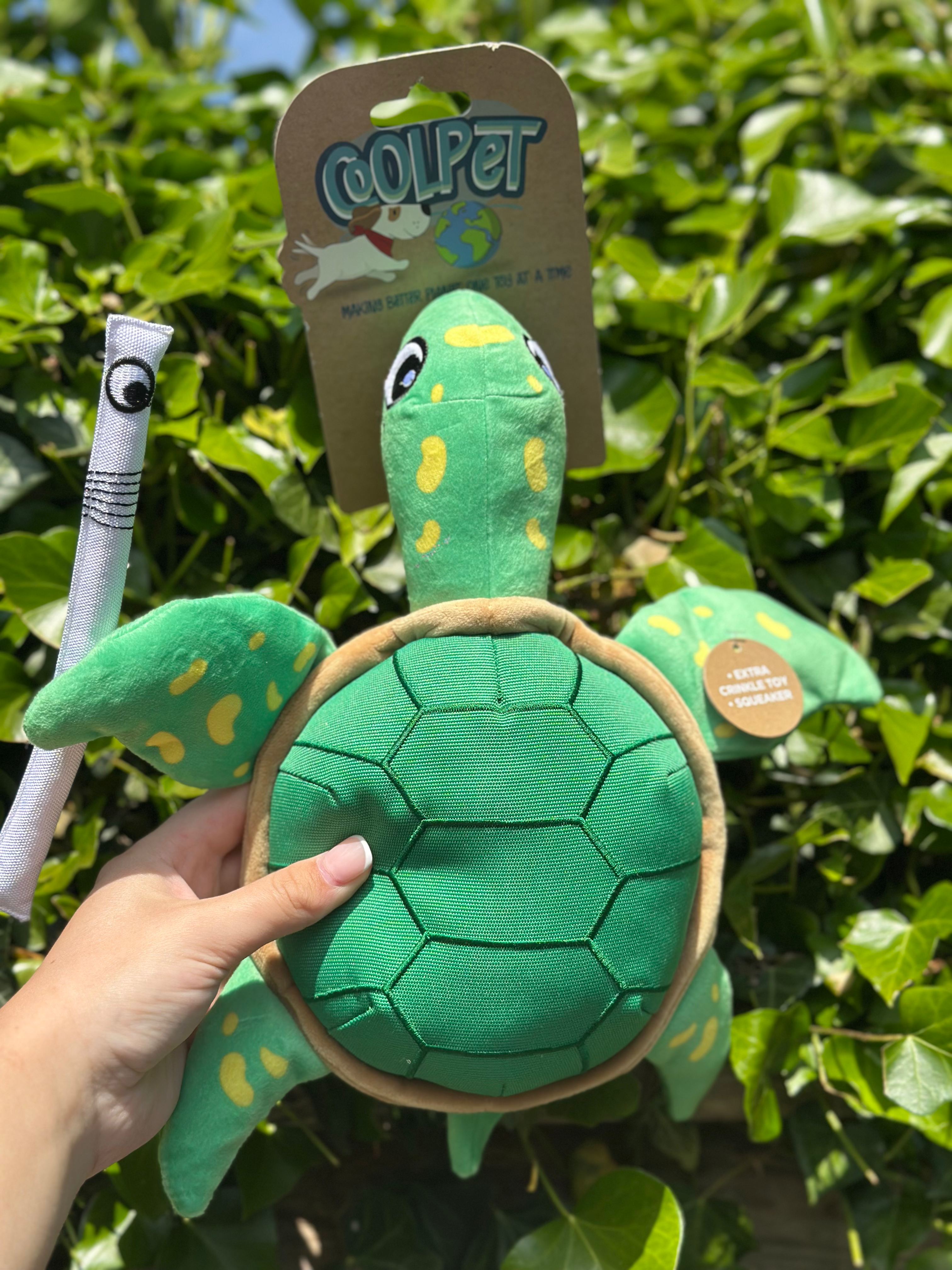 COOLPET shelldon turtle