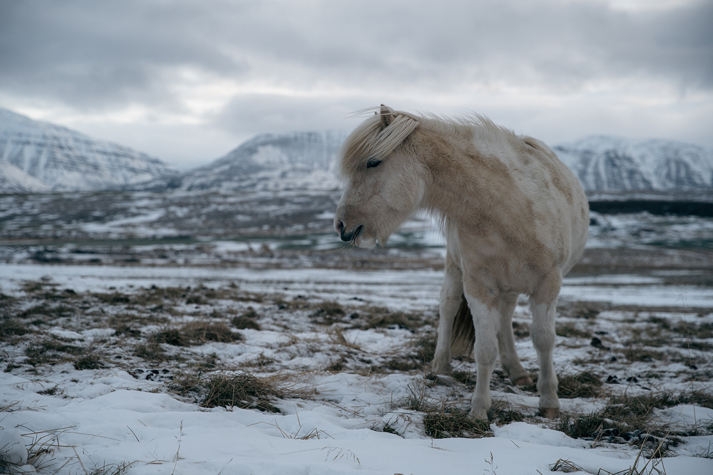 Islandia