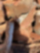 Sohotfirewood.jpg