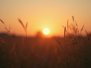 Exploring Love and Faith in 'All I Need to Hear'