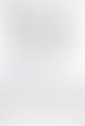 MWBE Programs Codify Economic Violence Against American Freedmen