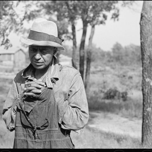 “How the Government Helped White Americans Steal Black Farmland“