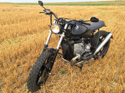 R80_mauer (15)