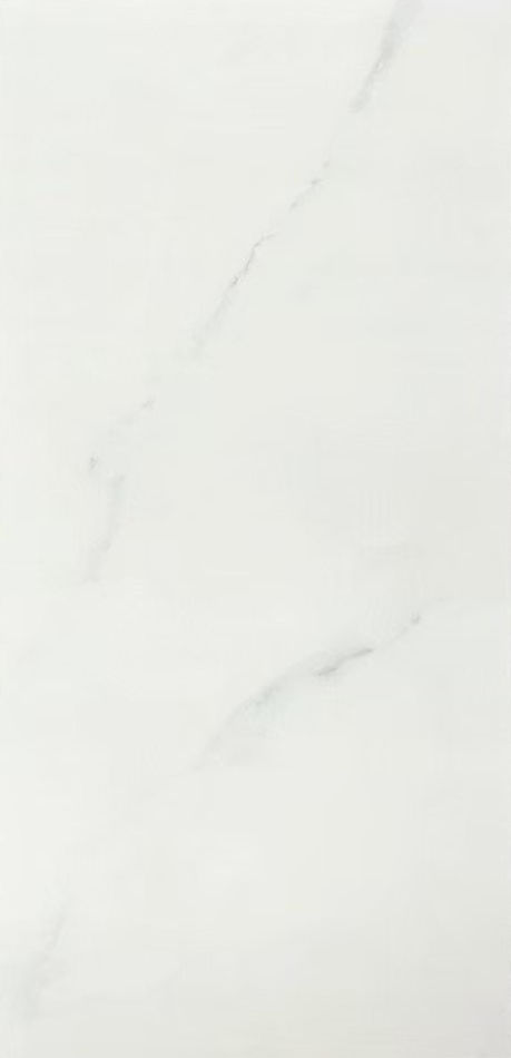 縮圖：SG36JZ銀狐白