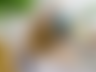 COPA DO MUNDO com Pitada Natural | Cozinha argentina, Assados e Chimichurri.