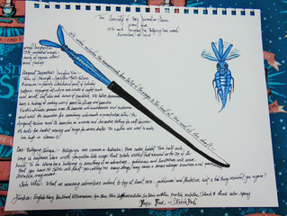 The Curiosity of Wand Core Divination Series-- Sketch & Wand -- Wand Four -- Billywig Core Wand