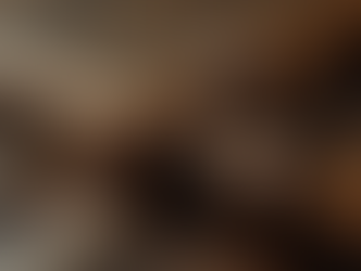 The Ultimate Harry Potter Wand Guide: Explore the Magic of Harry Potter Wands