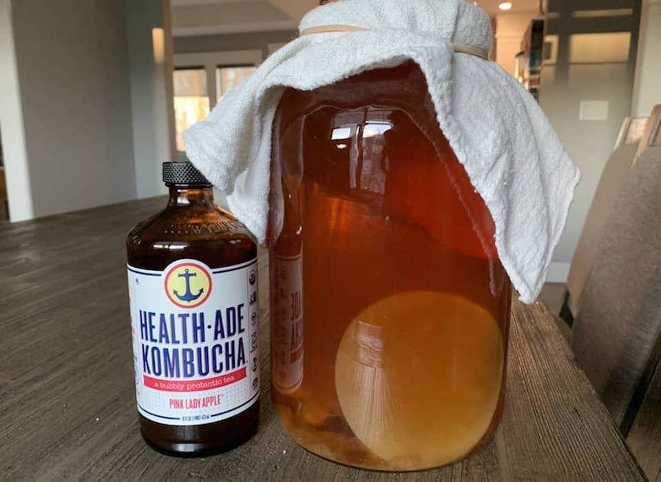 How to Home Brew Kombucha Without Starter Tea