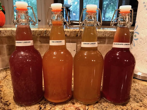 How to Make the World's Best Black Tea Kombucha
