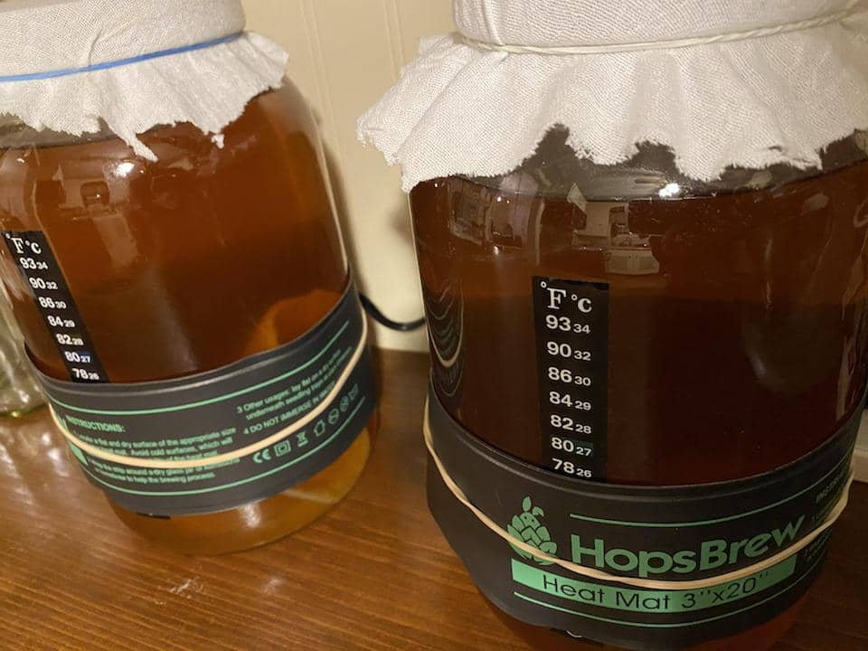 The Top 3 Best Kombucha Heating Pads