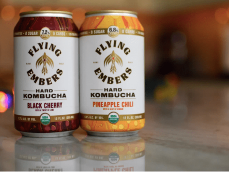 What is Kombucha Beer and How to Make it at Home