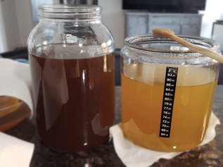 The Ultimate Green Tea Kombucha Guide and Recipe