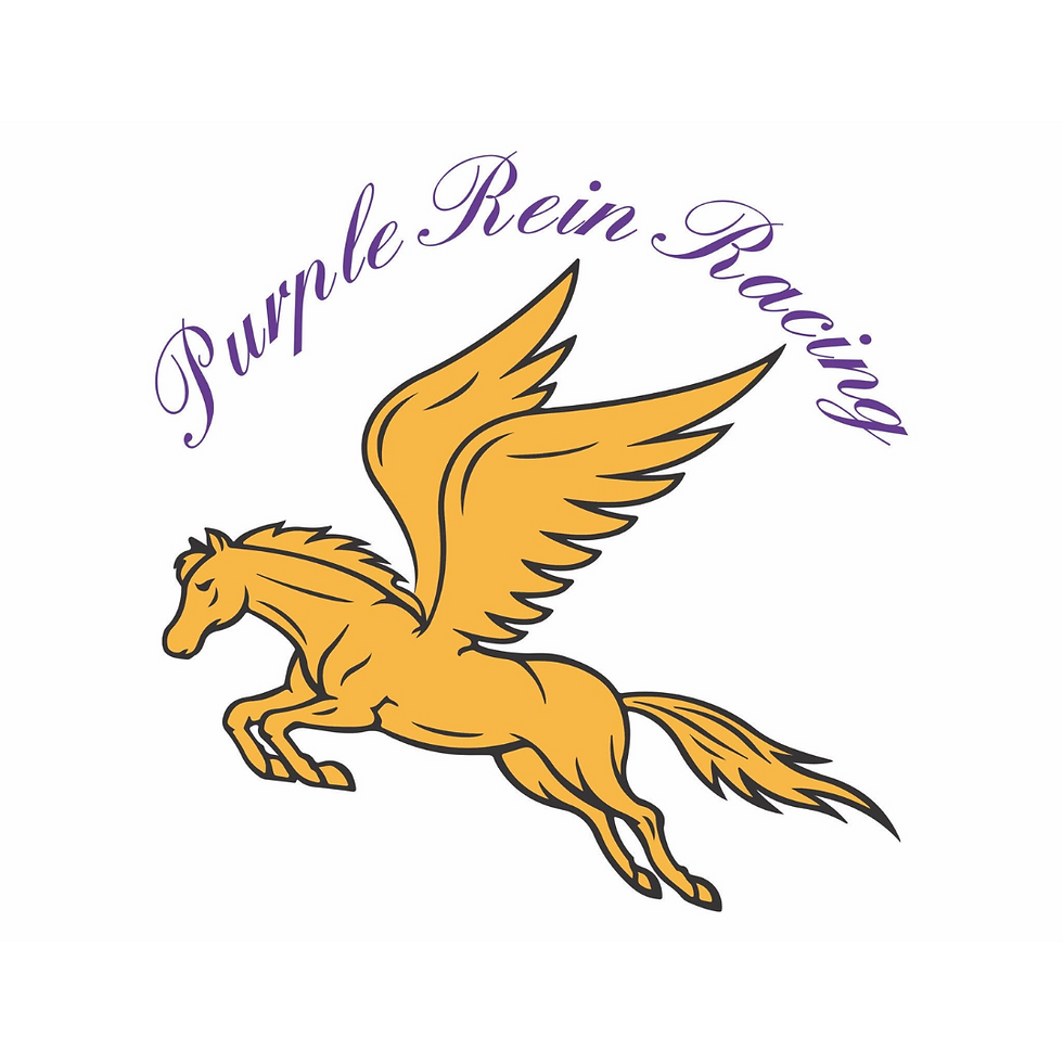 Purple Rein Racing (BUSS) - GOLD