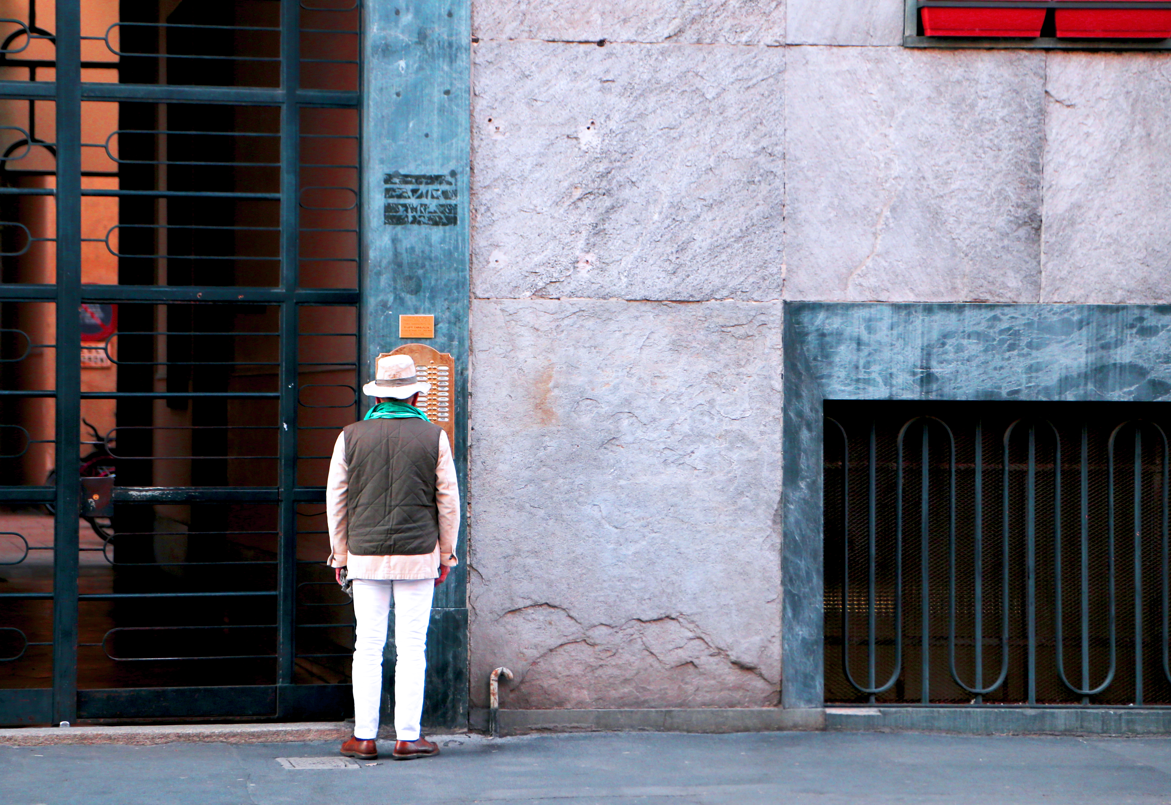 safari in concrete jungle