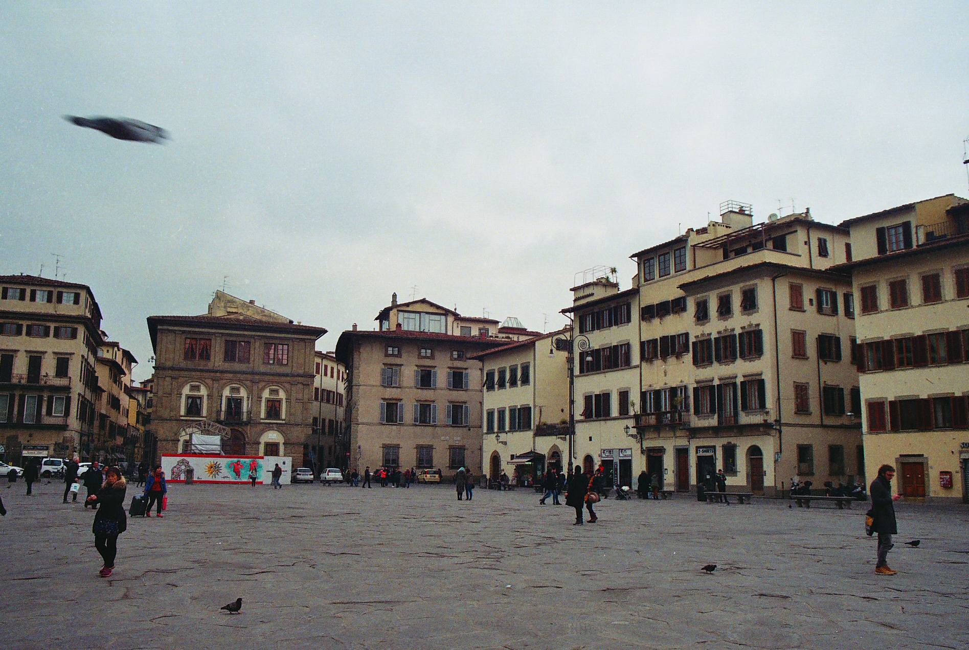 dynamics of firenze