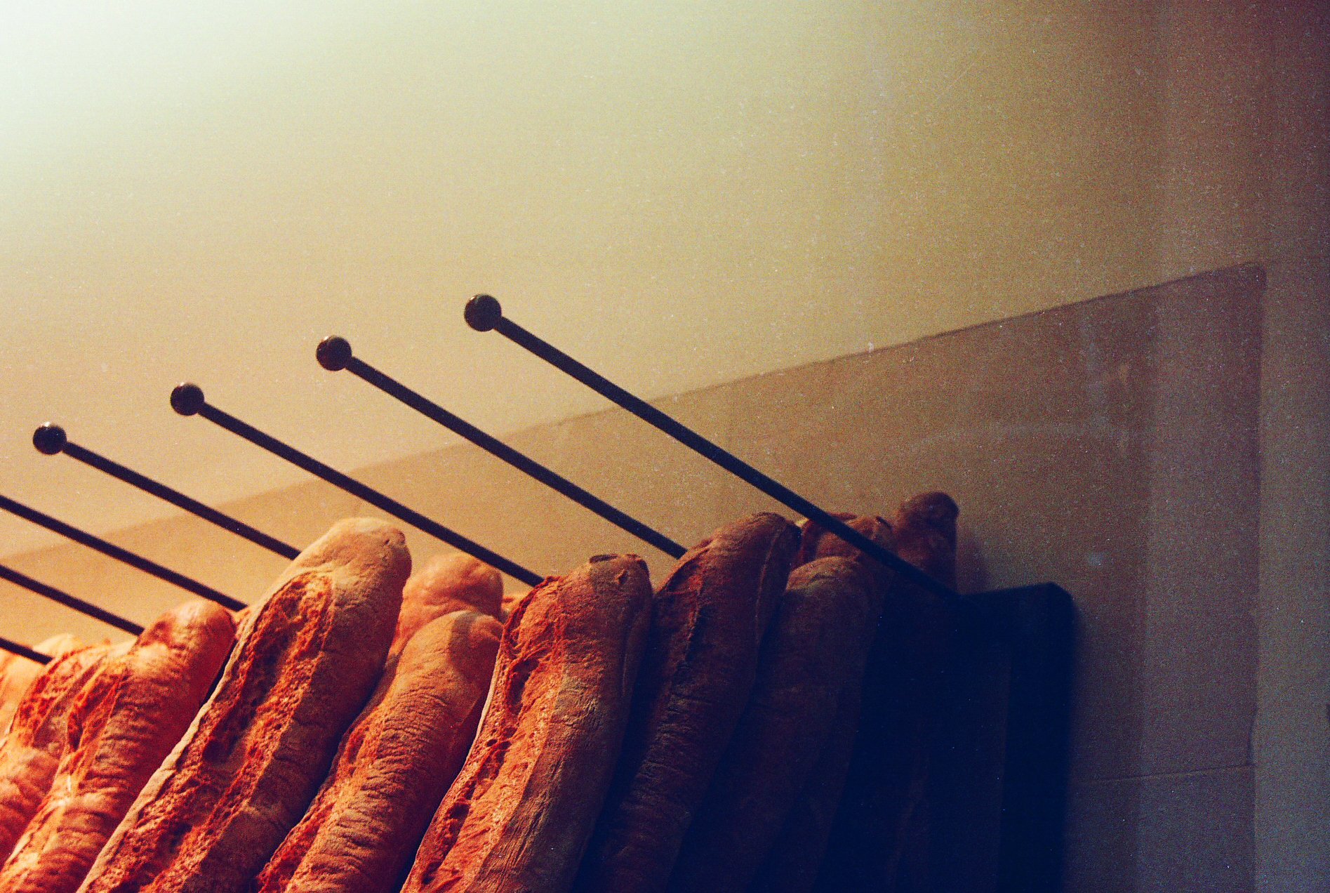 warm and rızık