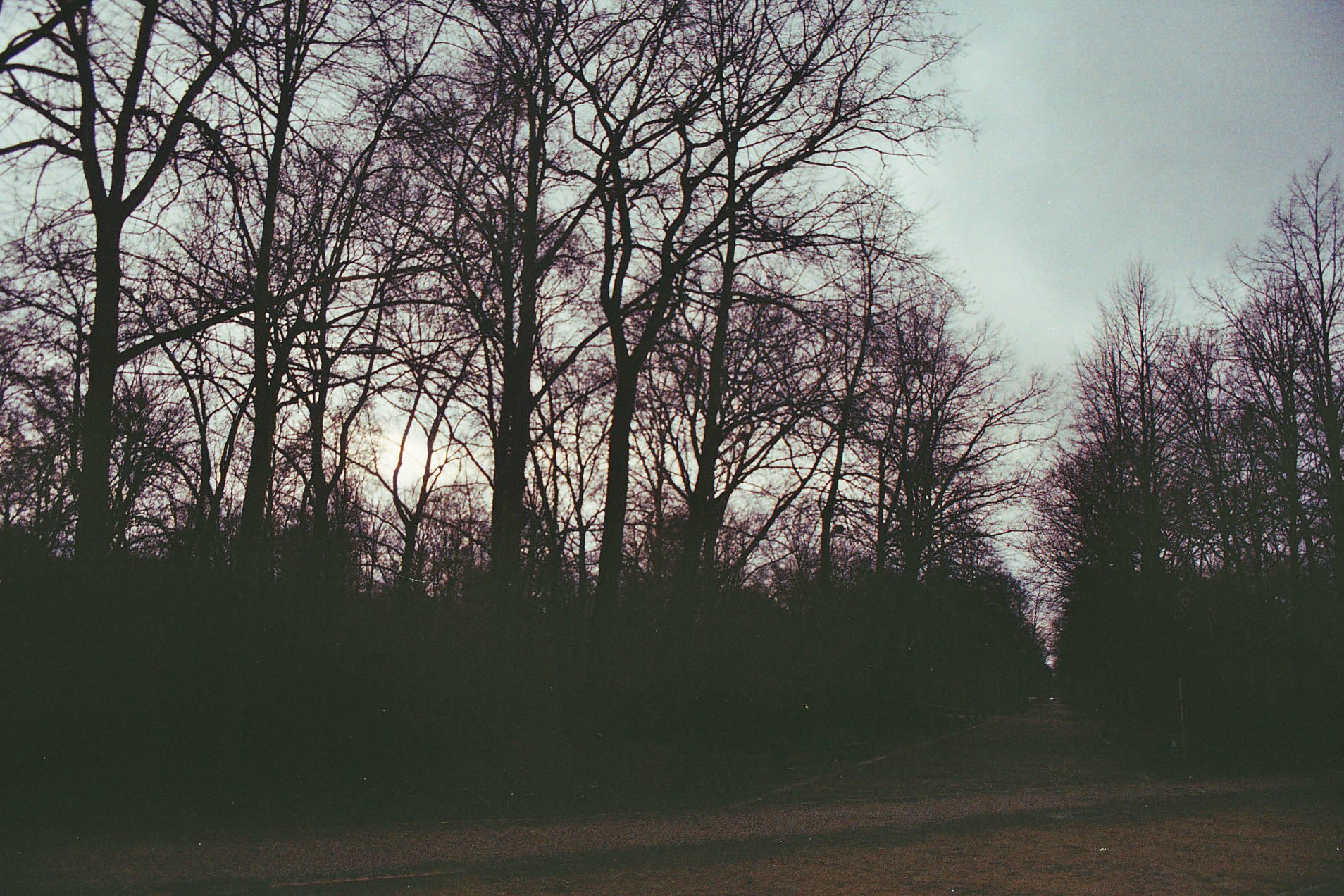 Horizon Spleen