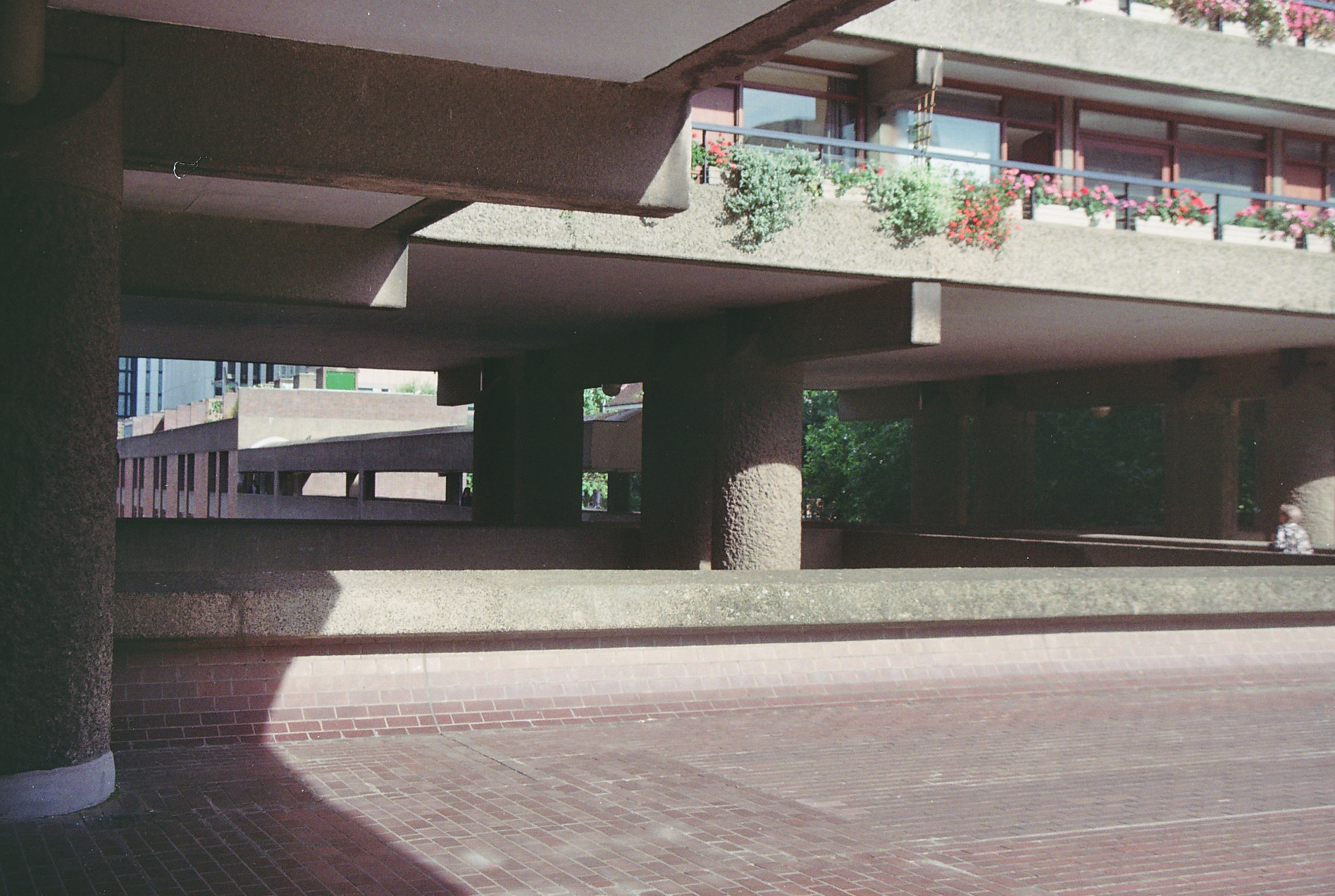 robin house-sick barbican