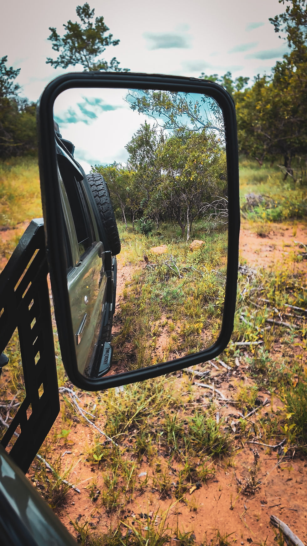 Land Cruiser Side Mirrors / Towing Mirrors