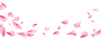Sem nome (1920 x 969 px) (1920 x 872 px) (19).png