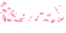Sem nome (1920 x 969 px) (1920 x 872 px) (19).png