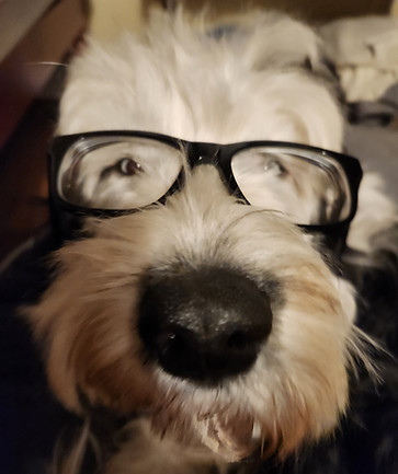 Bailey.jpg