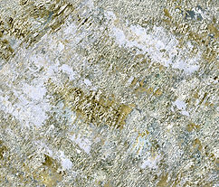 DE LAS LÁGRIMAS BROTARÁN RAÍCES