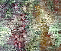 Pequeños placeres para la vista_edited.jpg