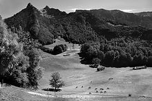 Pequeños placeres para la vista_edited.jpg