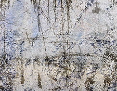 DEL BREVE RECORRIDO POR LOS MOMENTOS LÚCIDOS DE LA VIDA