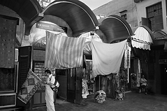 FRUTO DE LA IGNOMINIA