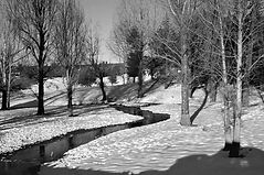 ¿VIDA INTELIGENTE...?