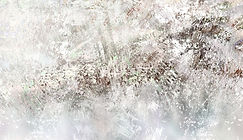 ESCRUPULOSAMENTE INSANO. OLIGARCAS