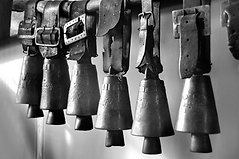 MALDAD, BONDAD... ¿EXISTE ALGUNA DIFERENCIA?