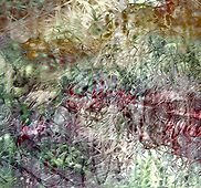 Pequeños placeres para la vista_edited.jpg