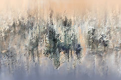 LA TEMEROSA TENTACIÓN DE JUGAR A SER DIOS