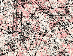 PREMEDITACIÓN A LA SUPLANTACIÓN - INGENIERÍA FINANCIERA