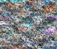 Pequeños placeres para la vista_edited.jpg