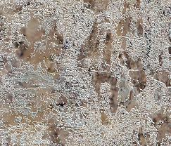 THE NEW CENTURY. EN LA ANTESALA DEL ROCOCÓ