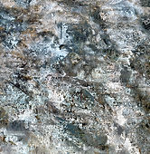 Pequeños placeres para la vista_edited.jpg