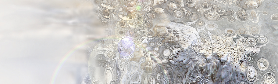 Certeza%20espuria%20(2018)_edited.png