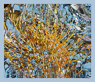 Pequeños placeres para la vista_edited.jpg